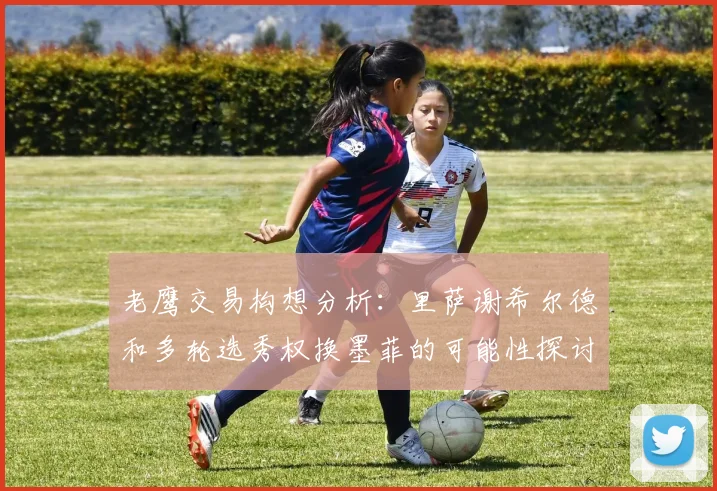 老鹰交易构想分析：里萨谢希尔德和多轮选秀权换墨菲的可能性探讨